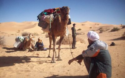 Découvrez l’Algérie Autrement : Offrez des Expériences Inoubliables !