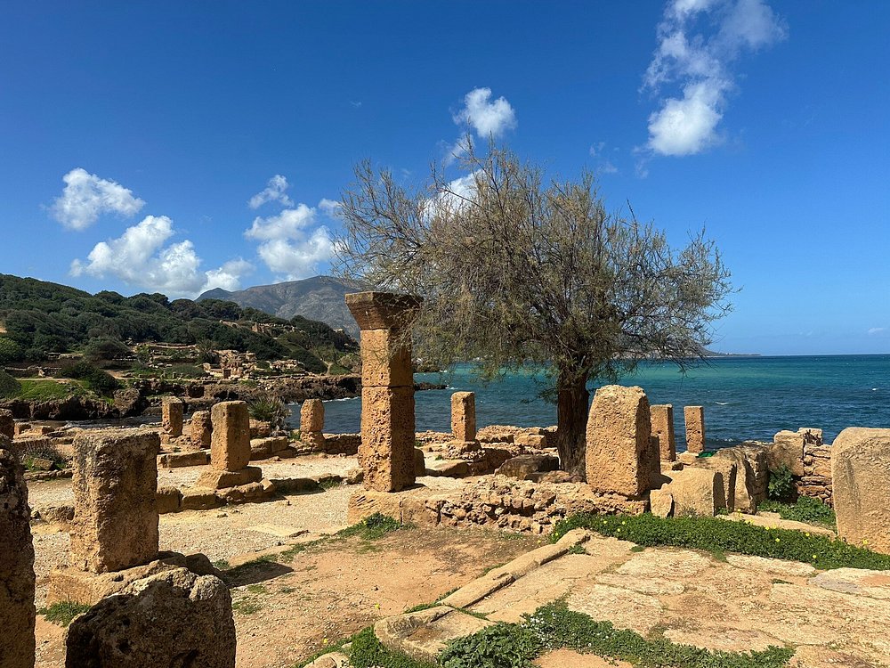 Visite "Tipaza et Cherchell" en une Journée Privée – Image 2